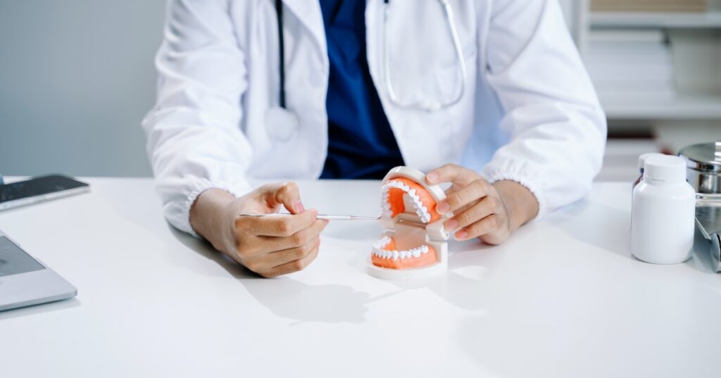 Dental professional explaining oral care using a teeth model