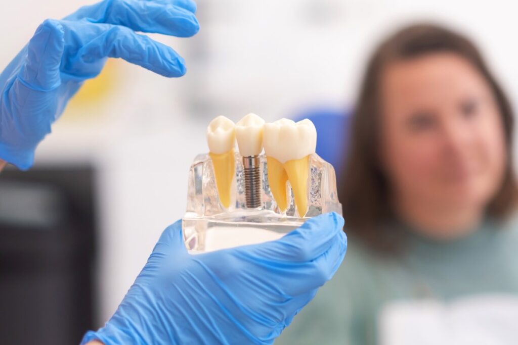 Dental implant model used to explain tooth replacement options